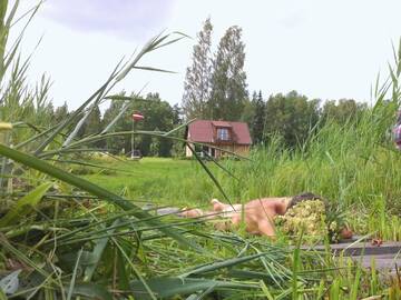 Фото номера Дом для отпуска Дома для отпуска Meza Skuki г. Vabole 11